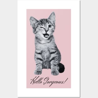 Hello Gorgeous - Cute Kitten - Cat Winking Posters and Art